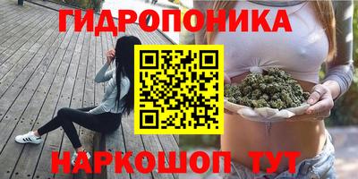 твердый Лесосибирск