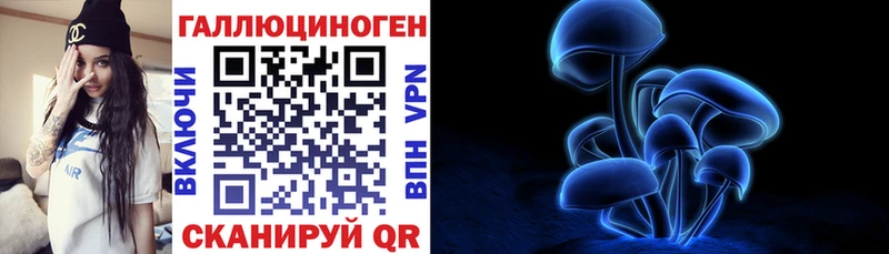 где купить наркоту  Сосновоборск  Галлюциногенные грибы MAGIC MUSHROOMS 