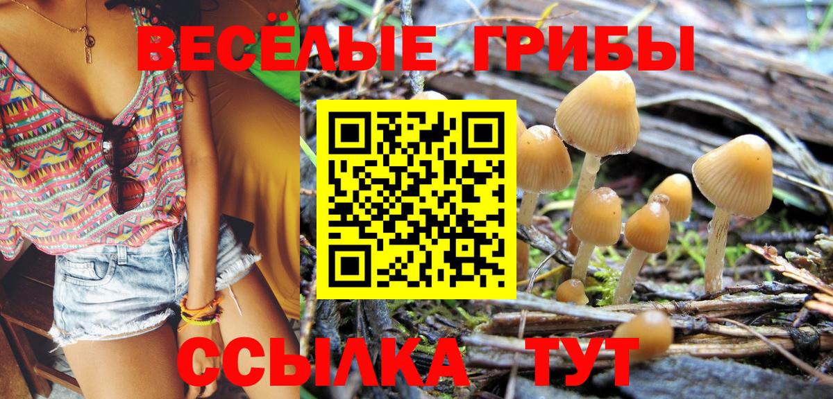 Сосновоборск  Галлюциногенные грибы мухоморы  Вход с VPN 